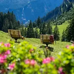 Appartement Haus Adrian