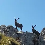 Haus Adrian * Wald am Arlberg